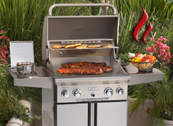 BBQ Gas Grill San Diego